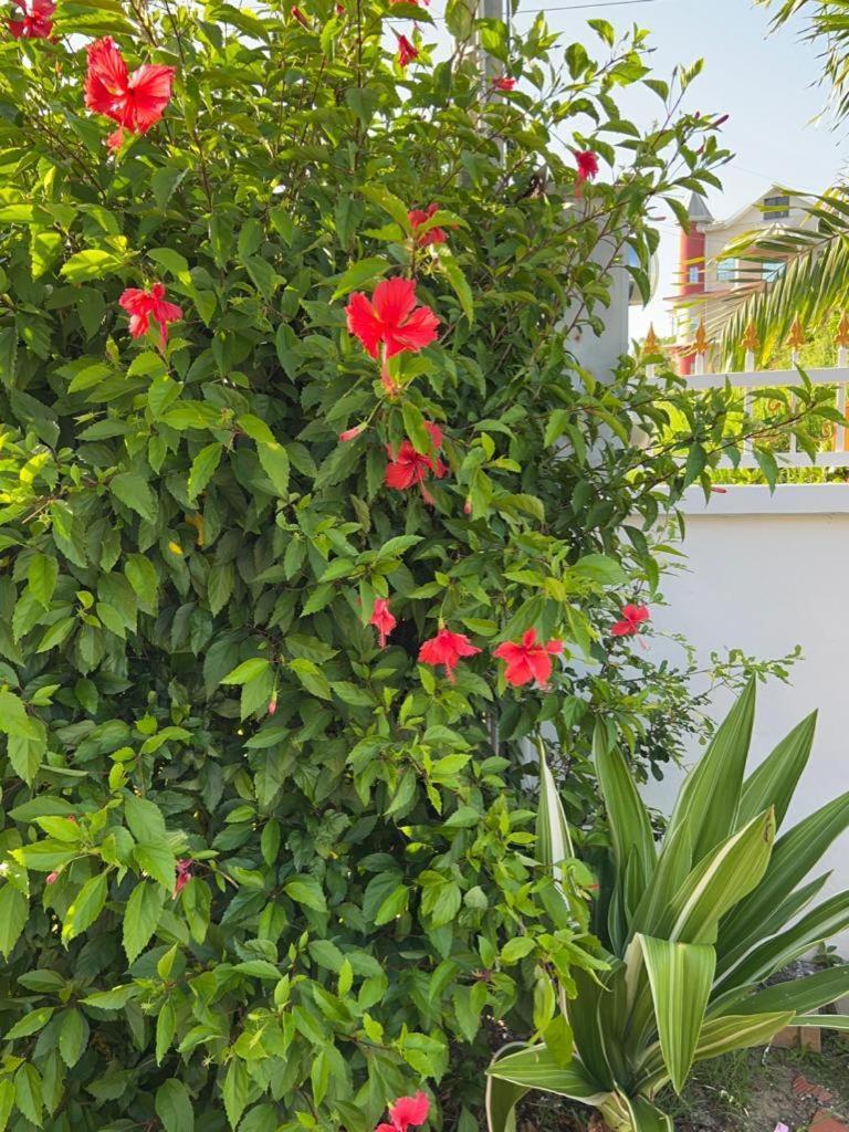 Faith'S Villa Tobago Diamond Екстер'єр фото